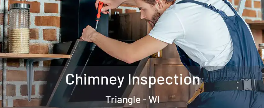 Chimney Inspection Triangle - WI