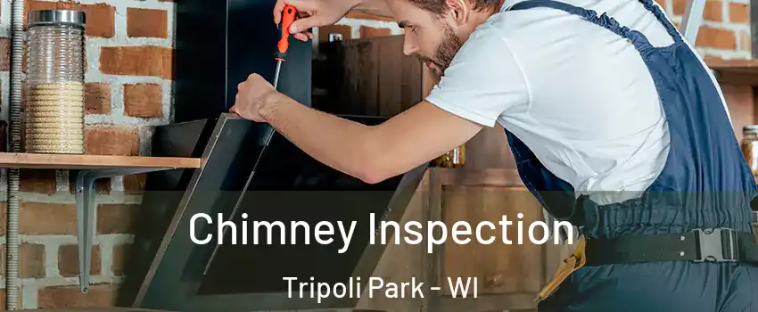 Chimney Inspection Tripoli Park - WI