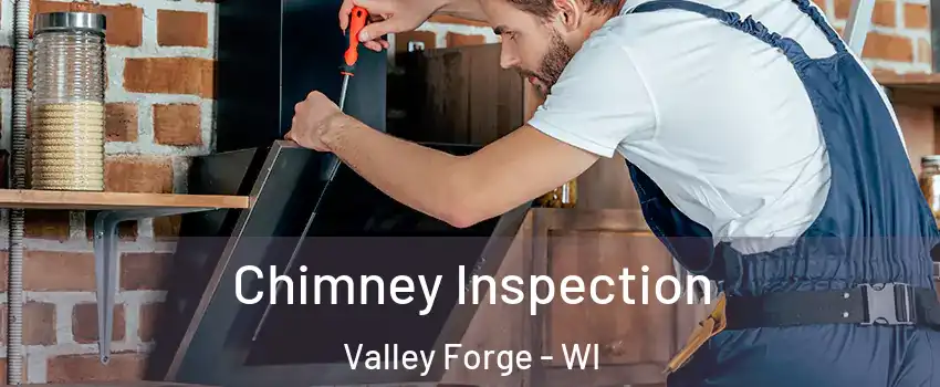 Chimney Inspection Valley Forge - WI