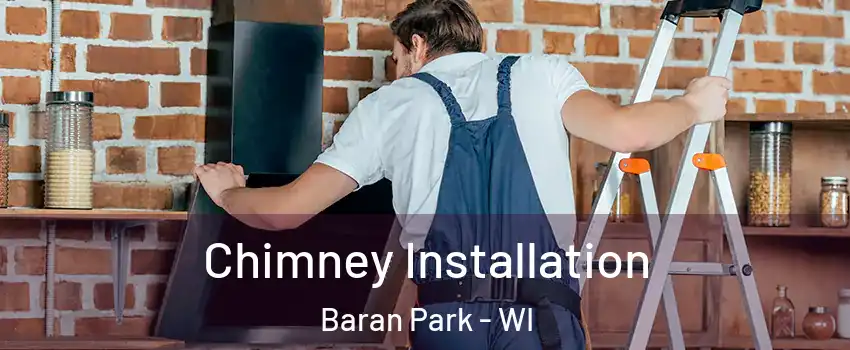 Chimney Installation Baran Park - WI