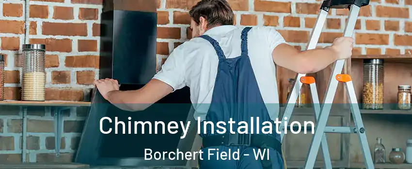 Chimney Installation Borchert Field - WI