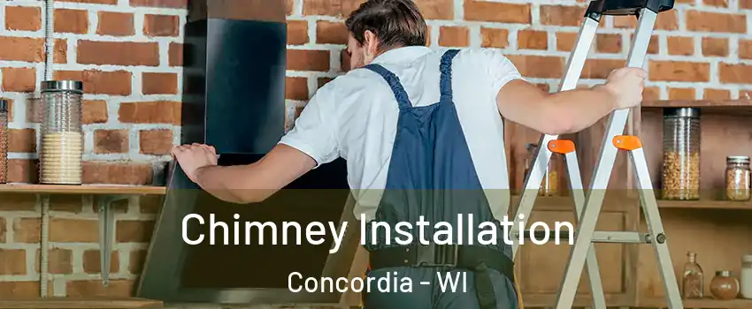 Chimney Installation Concordia - WI