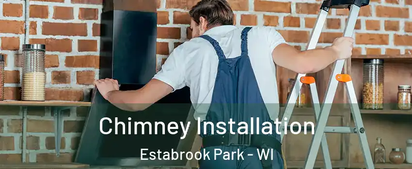 Chimney Installation Estabrook Park - WI