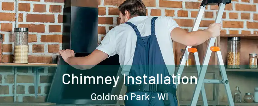 Chimney Installation Goldman Park - WI