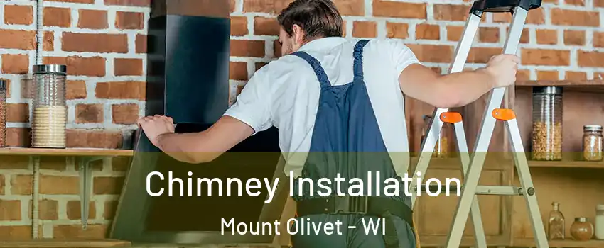 Chimney Installation Mount Olivet - WI