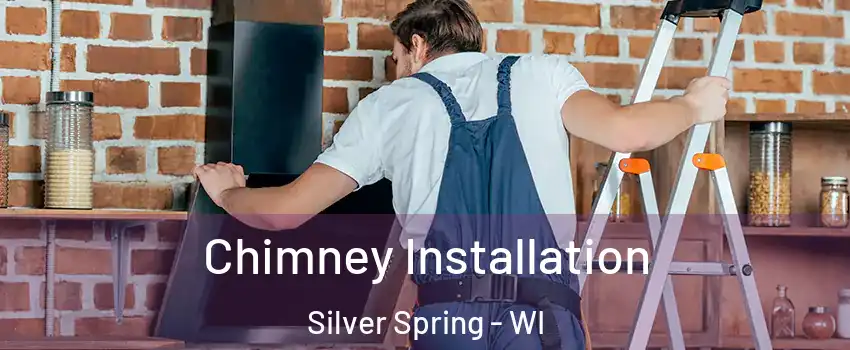 Chimney Installation Silver Spring - WI