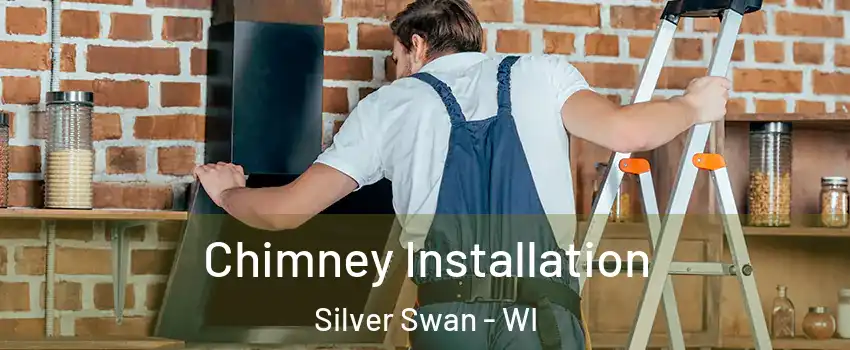 Chimney Installation Silver Swan - WI