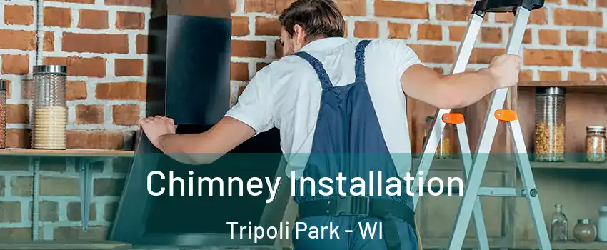 Chimney Installation Tripoli Park - WI