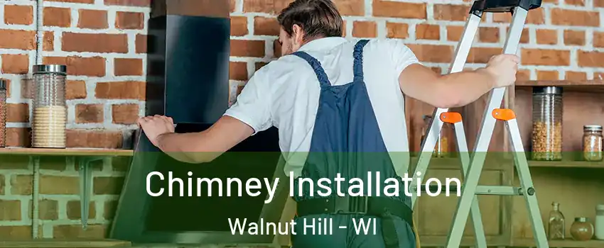 Chimney Installation Walnut Hill - WI