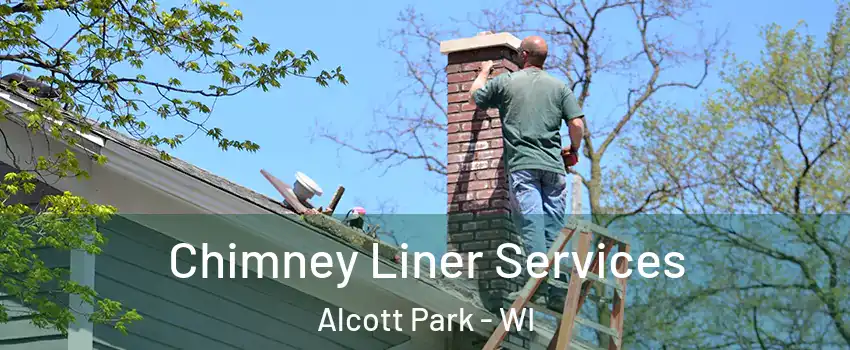 Chimney Liner Services Alcott Park - WI