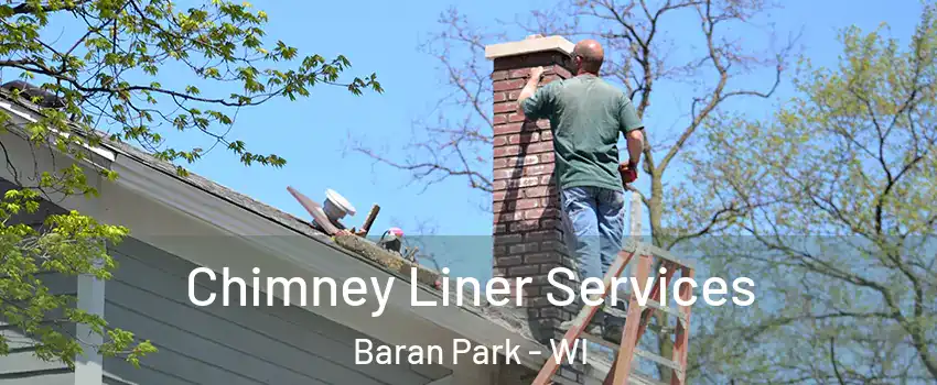 Chimney Liner Services Baran Park - WI