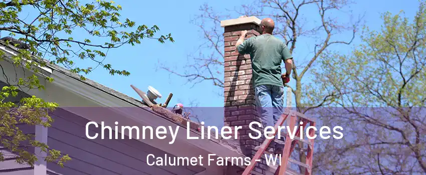 Chimney Liner Services Calumet Farms - WI