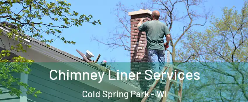 Chimney Liner Services Cold Spring Park - WI