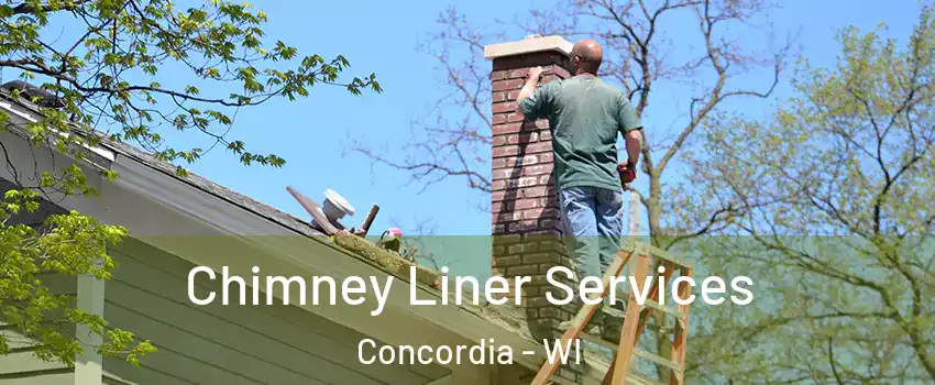 Chimney Liner Services Concordia - WI