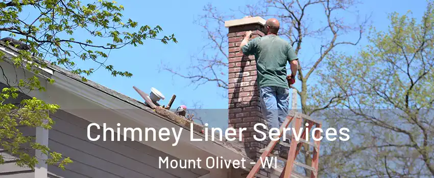 Chimney Liner Services Mount Olivet - WI