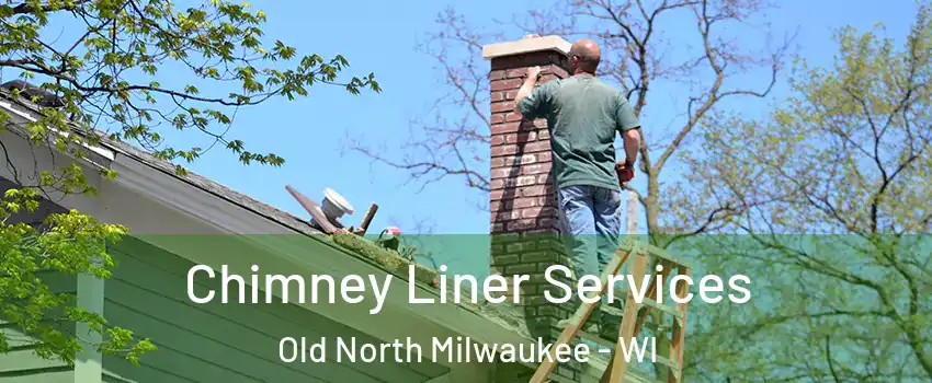 Chimney Liner Services Old North Milwaukee - WI