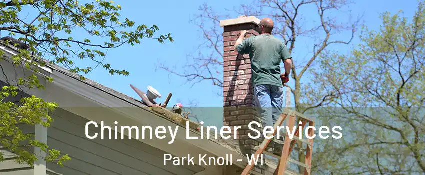 Chimney Liner Services Park Knoll - WI