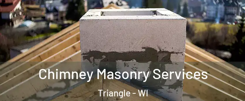 Chimney Masonry Services Triangle - WI