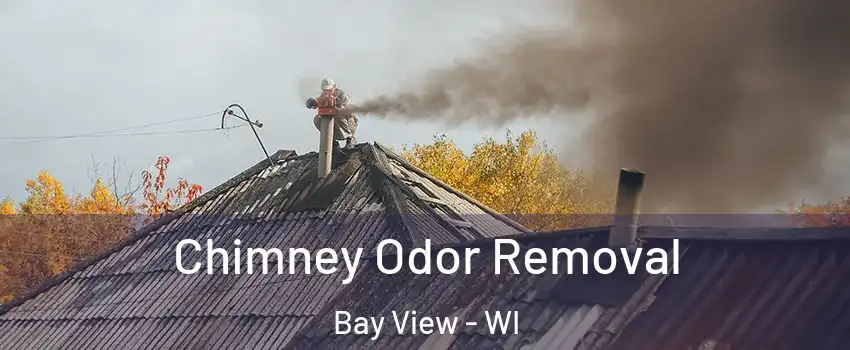 Chimney Odor Removal Bay View - WI