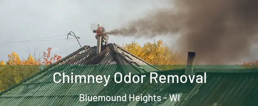 Chimney Odor Removal Bluemound Heights - WI