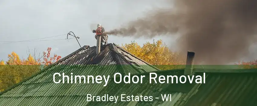 Chimney Odor Removal Bradley Estates - WI