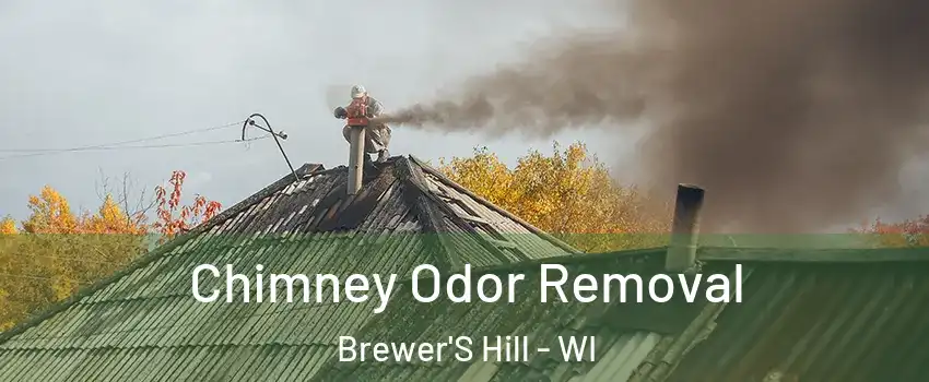 Chimney Odor Removal Brewer'S Hill - WI