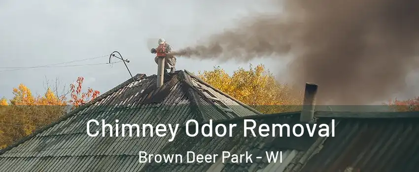 Chimney Odor Removal Brown Deer Park - WI