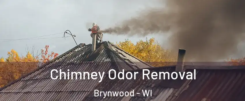 Chimney Odor Removal Brynwood - WI