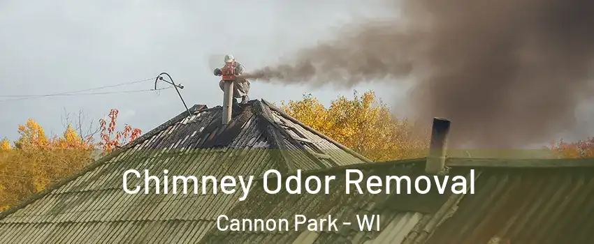 Chimney Odor Removal Cannon Park - WI