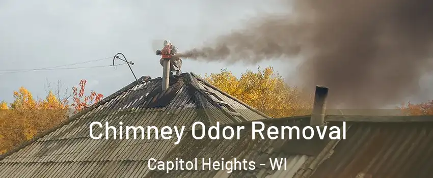 Chimney Odor Removal Capitol Heights - WI