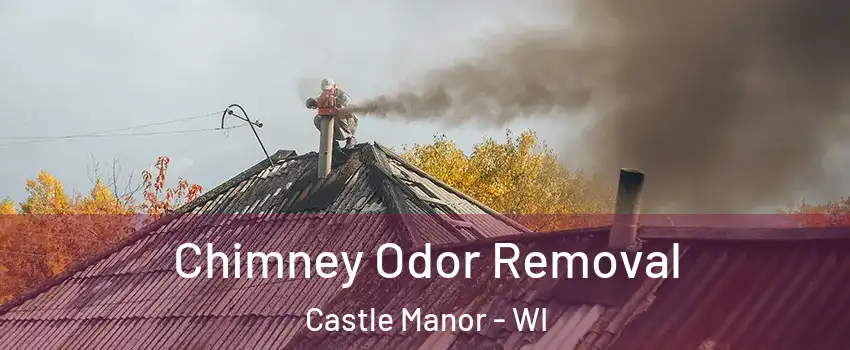 Chimney Odor Removal Castle Manor - WI