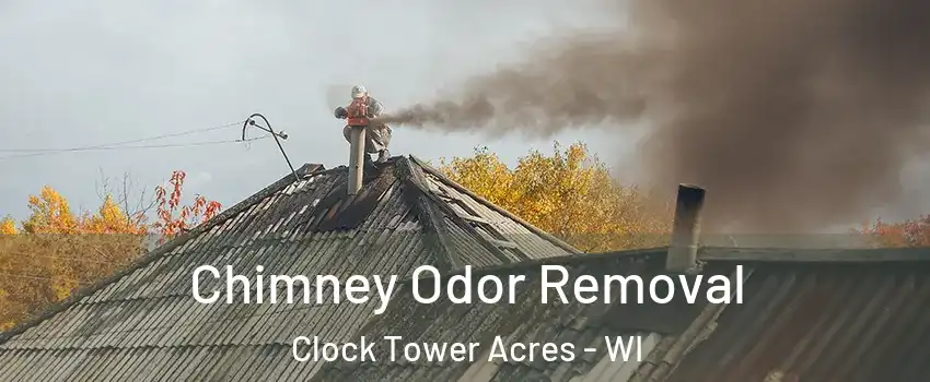 Chimney Odor Removal Clock Tower Acres - WI