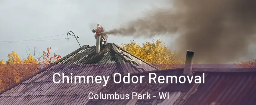 Chimney Odor Removal Columbus Park - WI