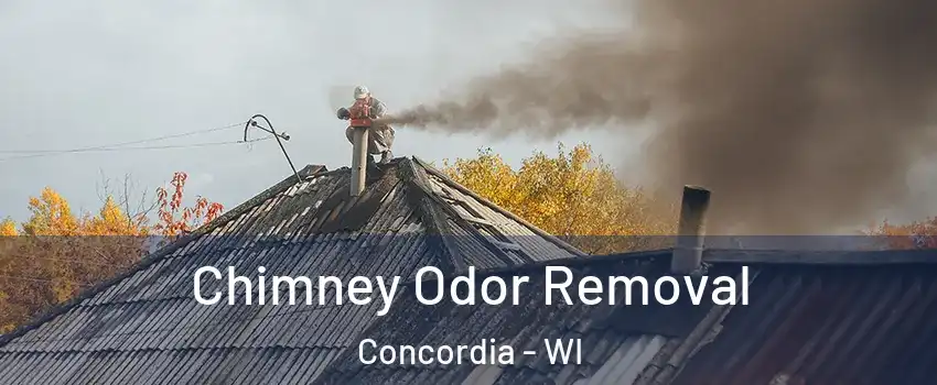 Chimney Odor Removal Concordia - WI