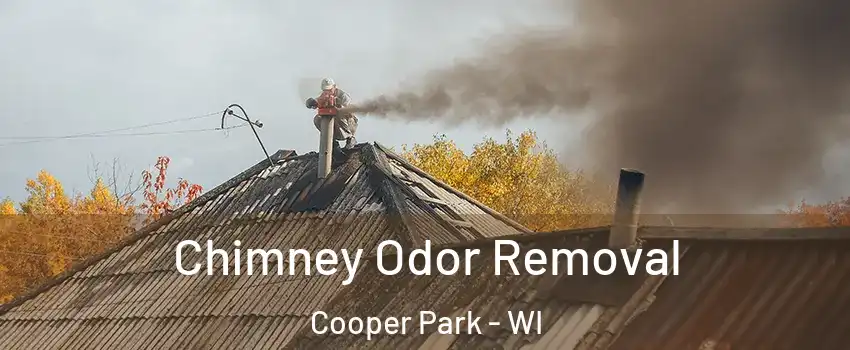 Chimney Odor Removal Cooper Park - WI