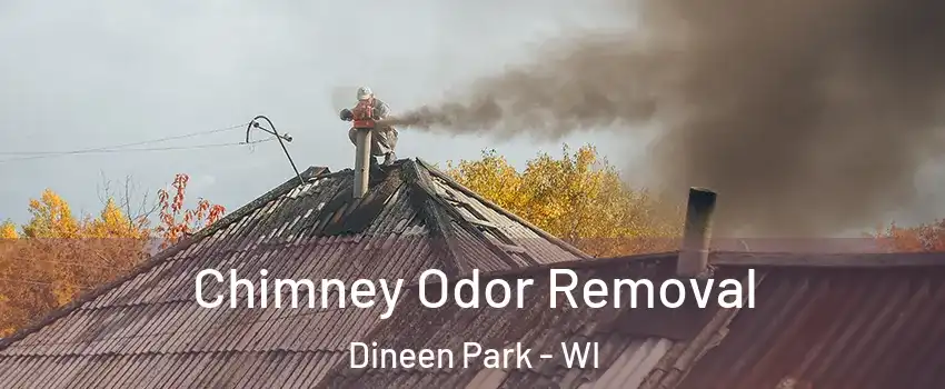 Chimney Odor Removal Dineen Park - WI