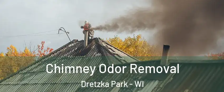 Chimney Odor Removal Dretzka Park - WI