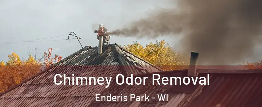 Chimney Odor Removal Enderis Park - WI