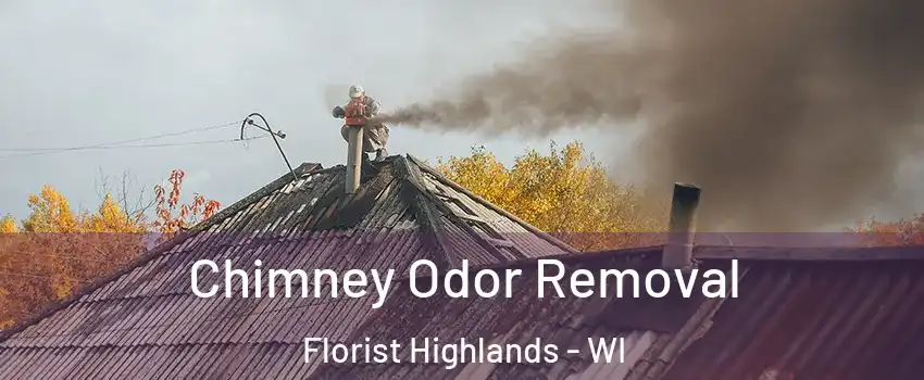 Chimney Odor Removal Florist Highlands - WI