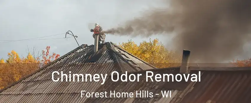 Chimney Odor Removal Forest Home Hills - WI