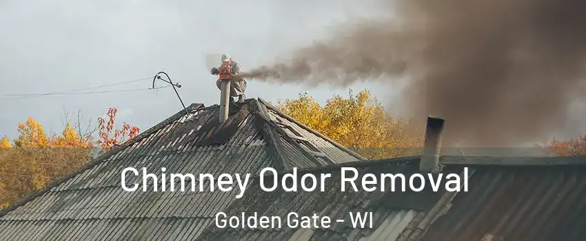 Chimney Odor Removal Golden Gate - WI