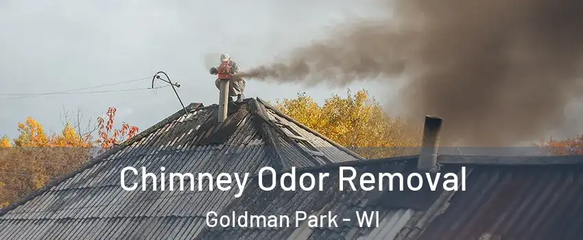 Chimney Odor Removal Goldman Park - WI