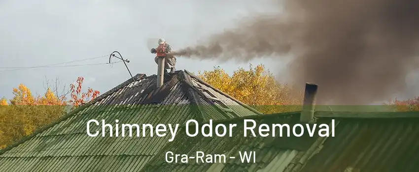 Chimney Odor Removal Gra-Ram - WI