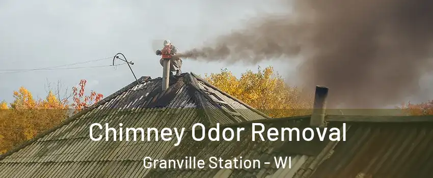 Chimney Odor Removal Granville Station - WI