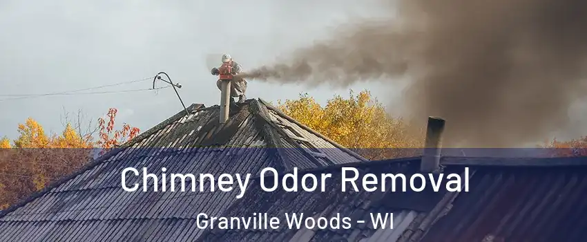 Chimney Odor Removal Granville Woods - WI