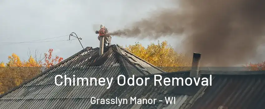 Chimney Odor Removal Grasslyn Manor - WI