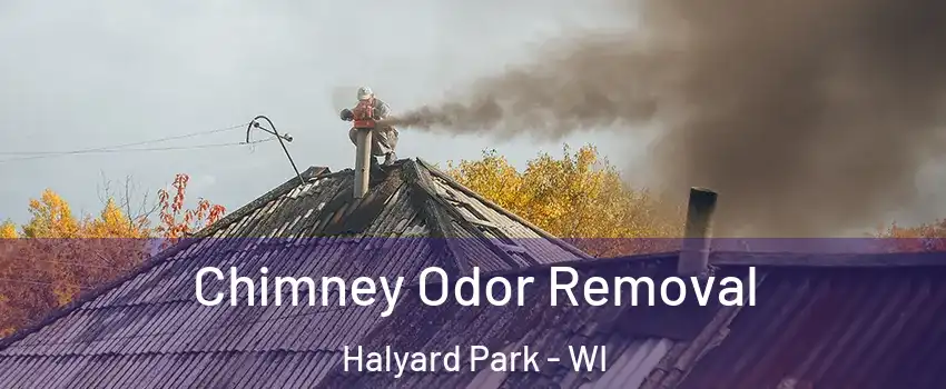 Chimney Odor Removal Halyard Park - WI