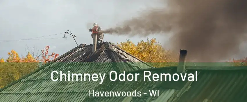 Chimney Odor Removal Havenwoods - WI