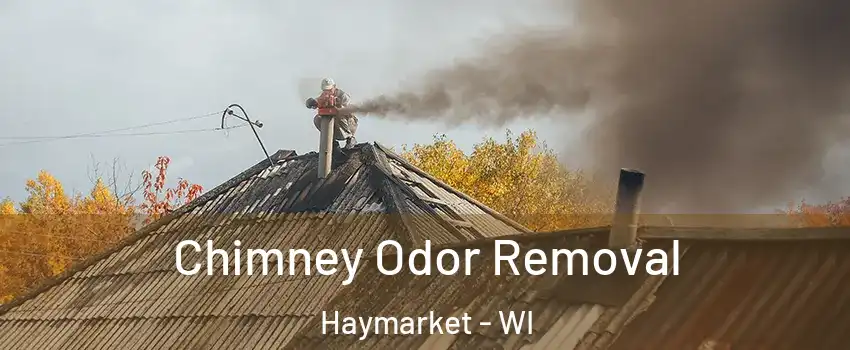 Chimney Odor Removal Haymarket - WI