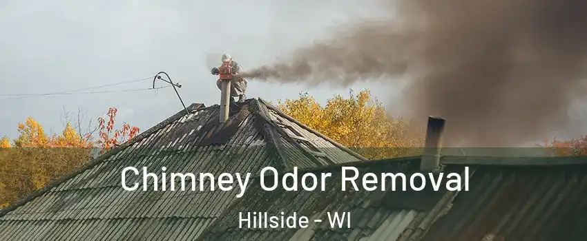 Chimney Odor Removal Hillside - WI